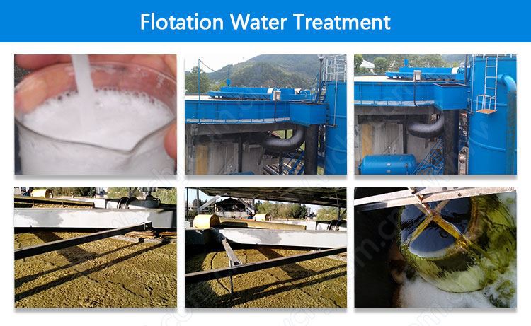 Flotation in Water and Wastewater Treatment