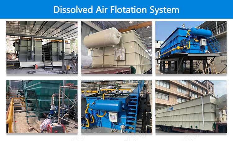 Dissolved air flotation system