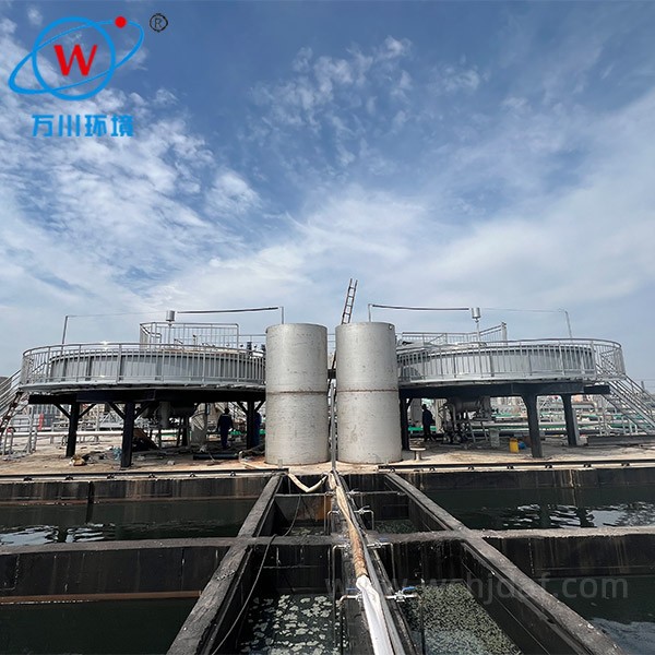 High Speed Shallow Flotation