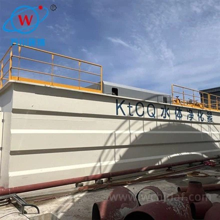 Integrated Dephosphorization High Speed Air Flotation