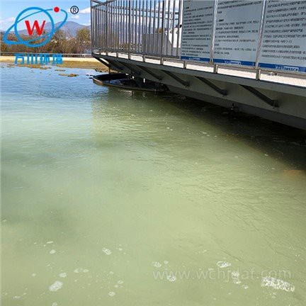 Pressurised Dissolved Air Flotation